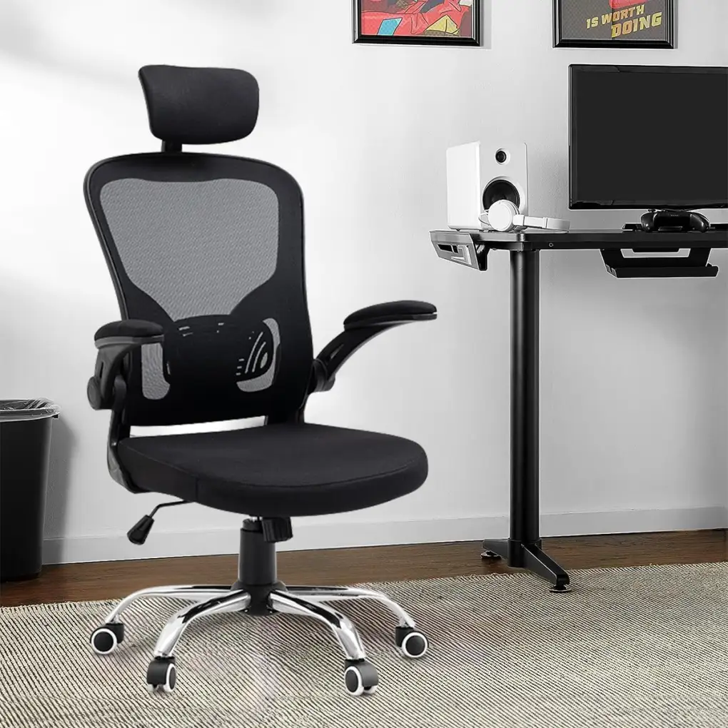 Imagem da galeria