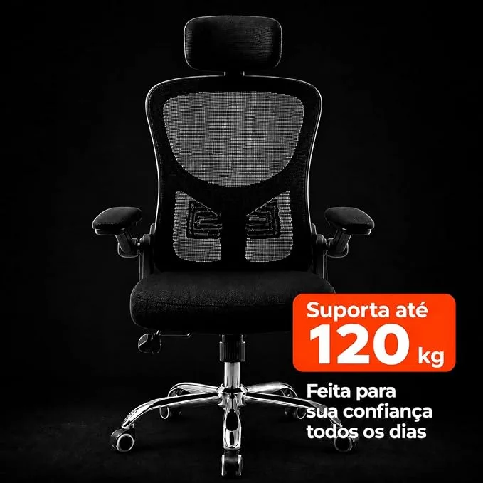 Imagem da galeria